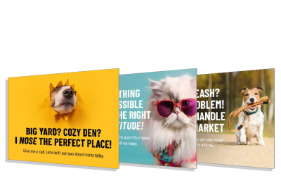 Animal Series III Postcards