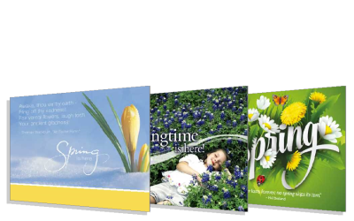 Spring is Here Postcards